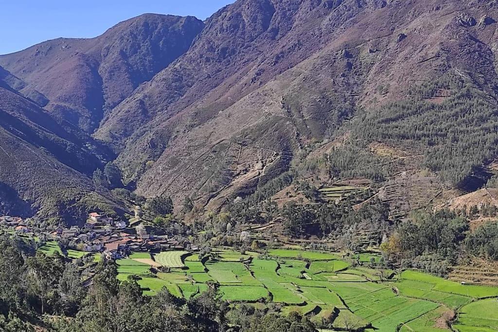 Hébergement de vacances Casa Do Avo Ze Covas do Monte